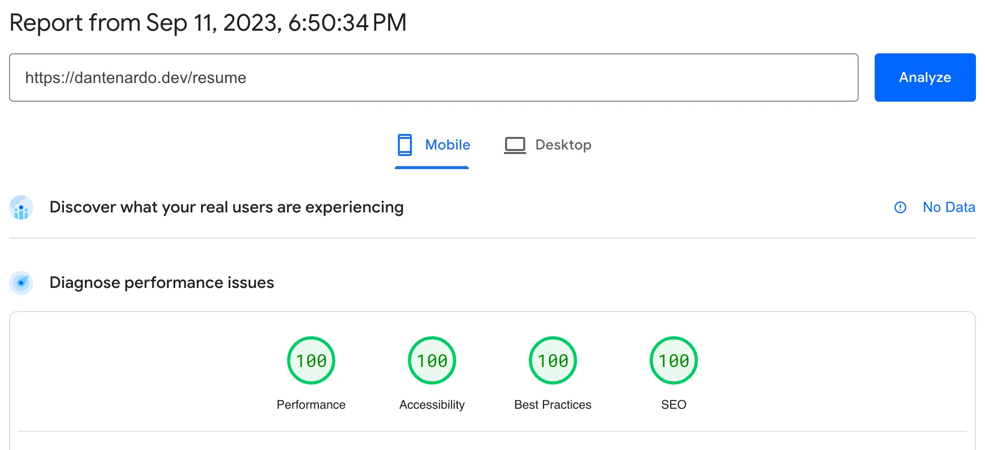 This image depicts a perfect PageSpeed insights score.